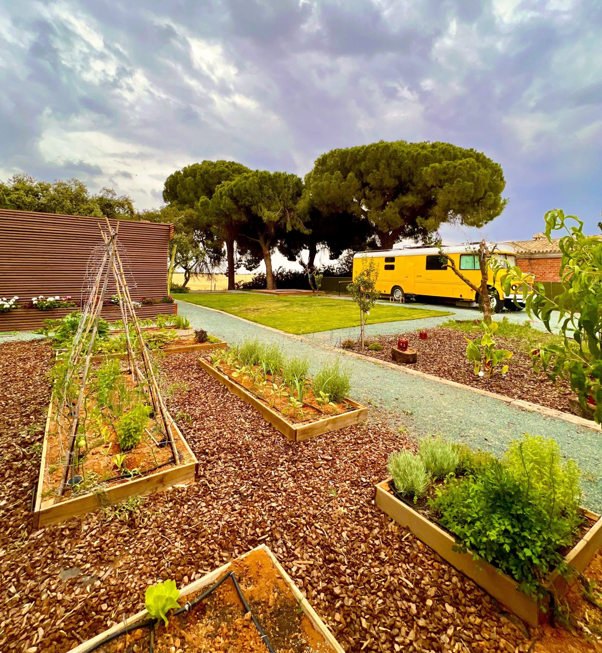 EL RESPIRO DE MERAKIBUS